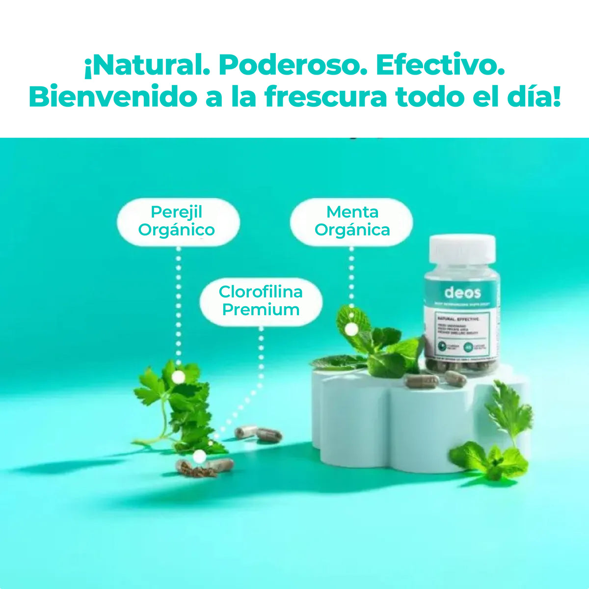 Desodorizante Natural en Cápsula + ENVÍO GRATIS🔥