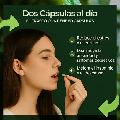 Ashwagandha + ENVÍO GRATIS🔥